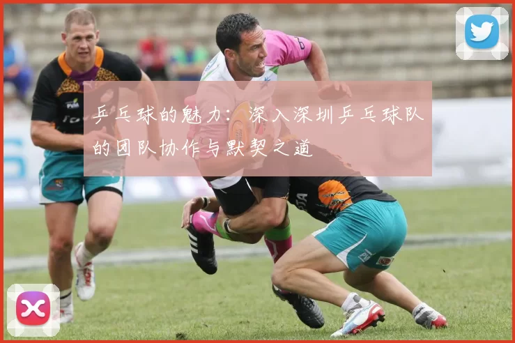 乒乓球的魅力：深入深圳乒乓球队的团队协作与默契之道