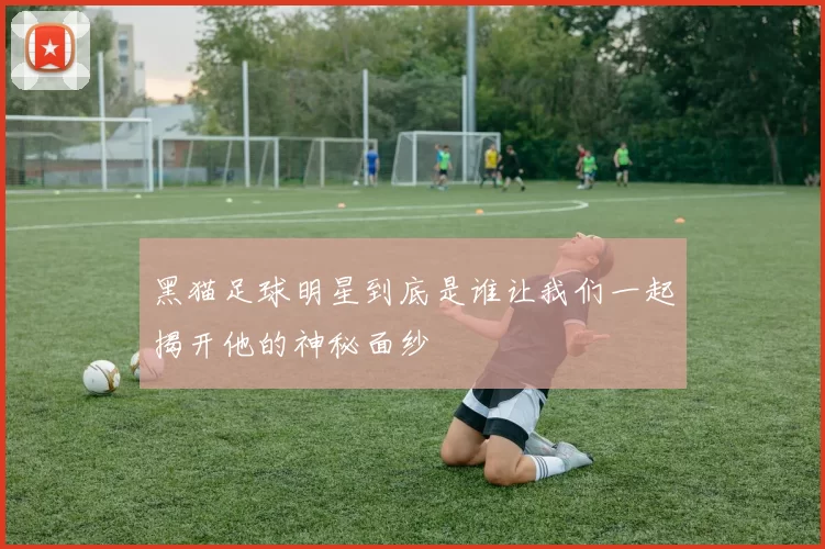 黑猫足球明星到底是谁让我们一起揭开他的神秘面纱