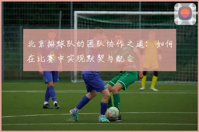 北京排球队的团队协作之道：如何在比赛中实现默契与配合