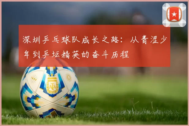 深圳乒乓球队成长之路：从青涩少年到乒坛精英的奋斗历程