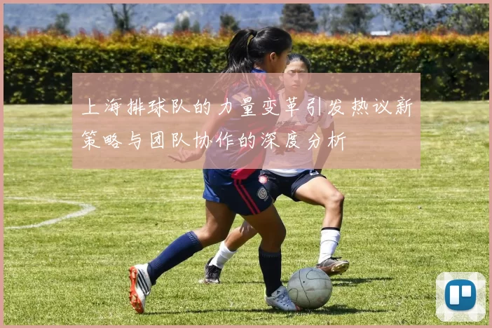 上海排球队的力量变革引发热议新策略与团队协作的深度分析