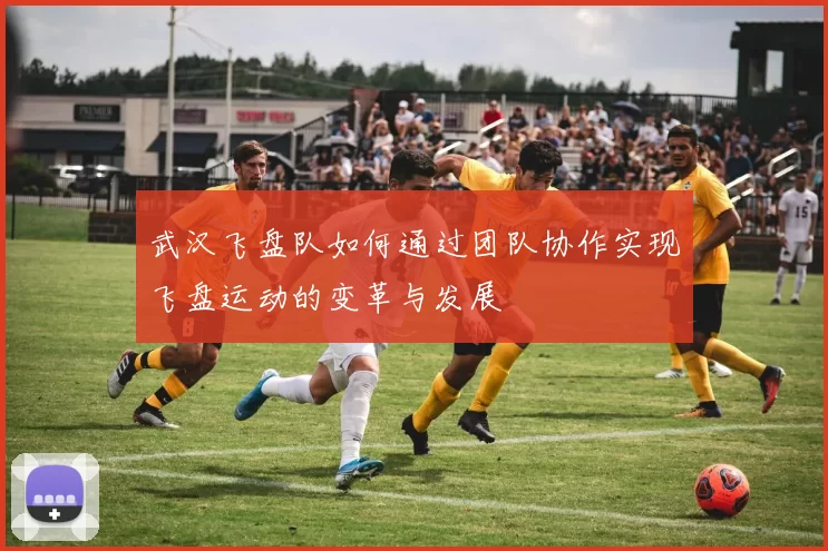 武汉飞盘队如何通过团队协作实现飞盘运动的变革与发展