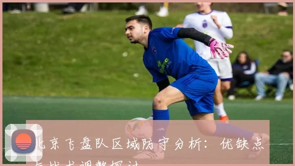 北京飞盘队区域防守分析：优缺点与战术调整探讨