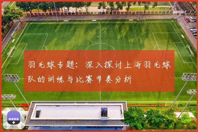 羽毛球专题：深入探讨上海羽毛球队的训练与比赛节奏分析