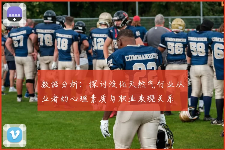 数据分析：探讨液化天然气行业从业者的心理素质与职业表现关系
