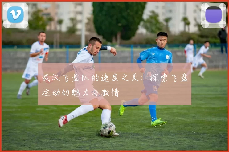 武汉飞盘队的速度之美：探索飞盘运动的魅力与激情