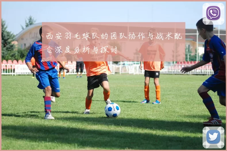 西安羽毛球队的团队协作与战术配合深度分析与探讨
